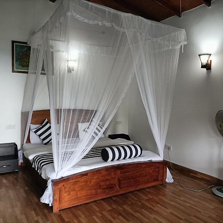 Divine View Homestay Ella Zewnętrze zdjęcie