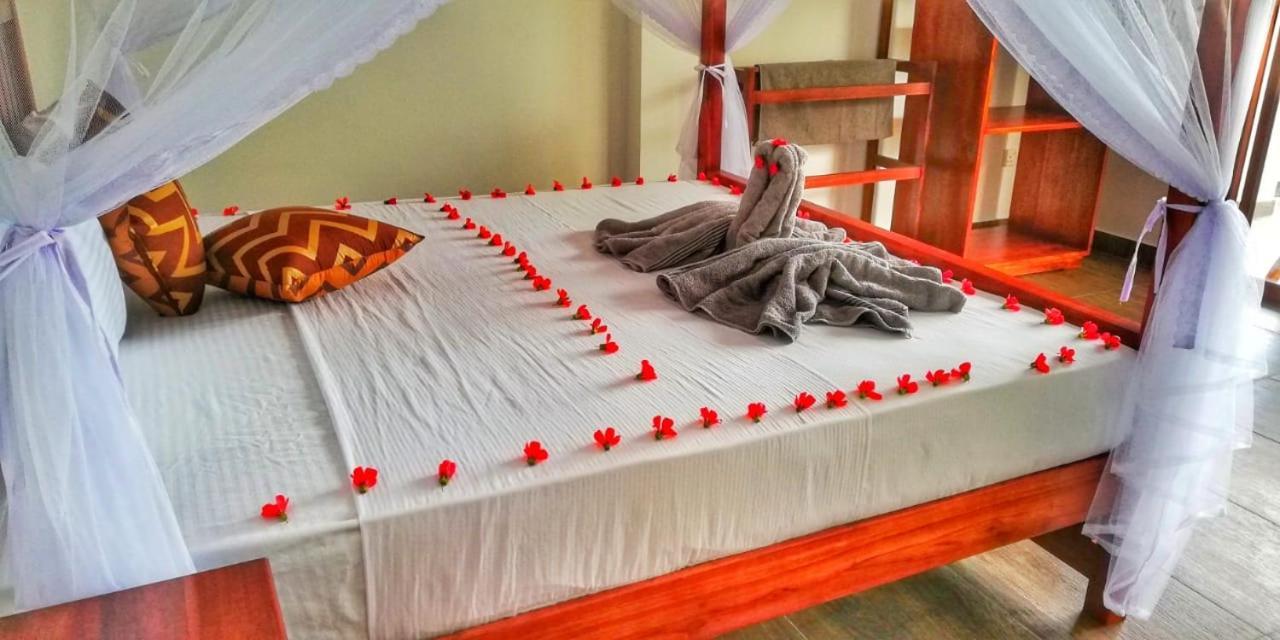 Divine View Homestay Ella Zewnętrze zdjęcie